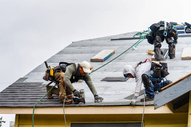 Professional Gutter Installation technician working in Rutland, IL